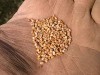 product pic 2